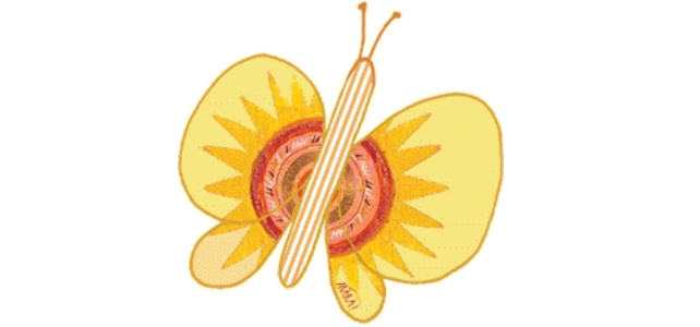 Papilio Papilio